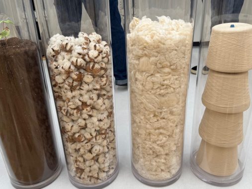 TokyoTextileScope_shiomoto5